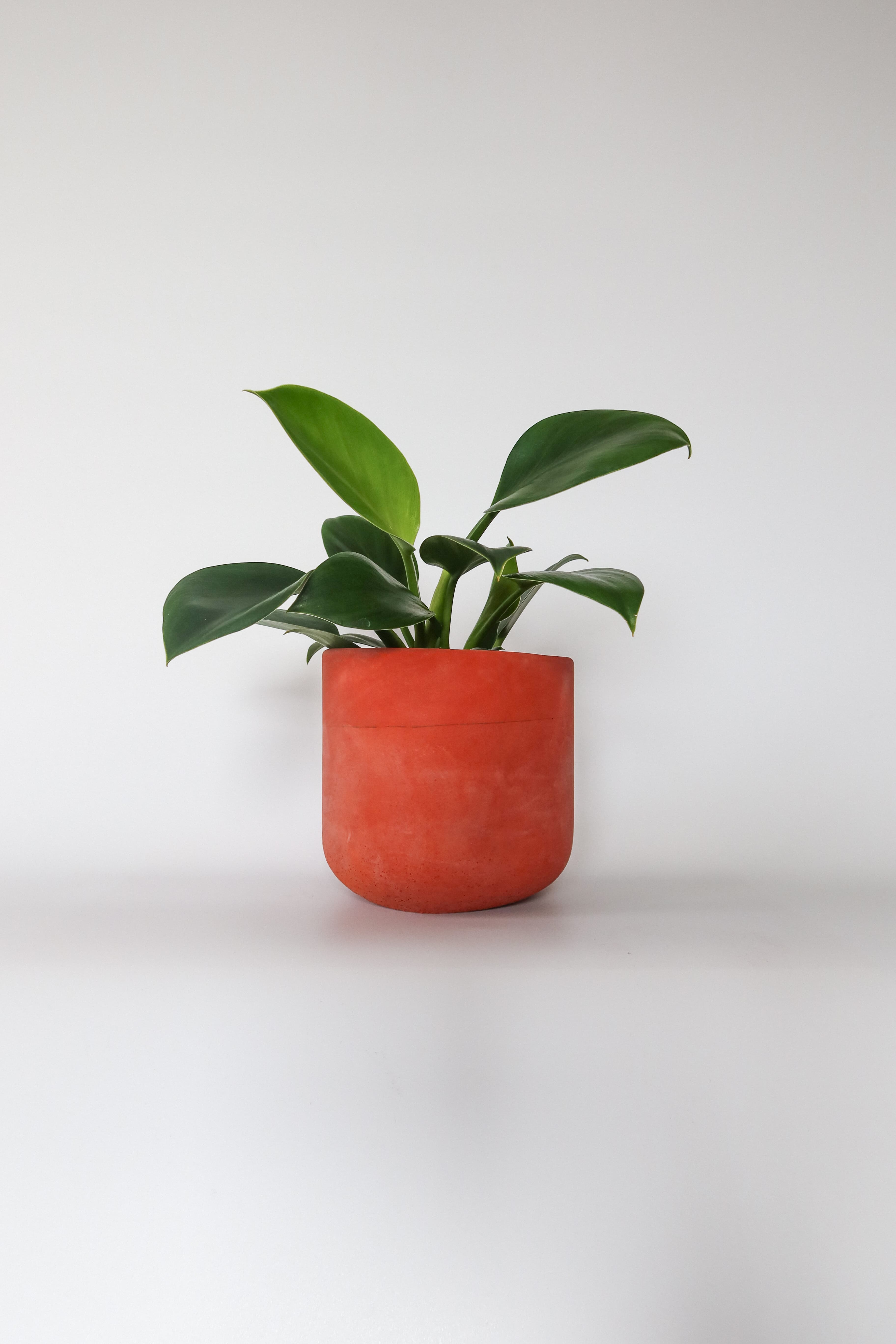 Osłonka betonowa Rust — rdzawy barwiony beton, handmade, premium